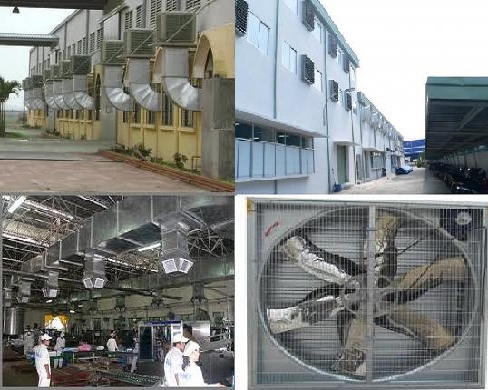 5 tip sử dụng Quạt cây công nghiệp trong các nhà xưởng, nhà máy